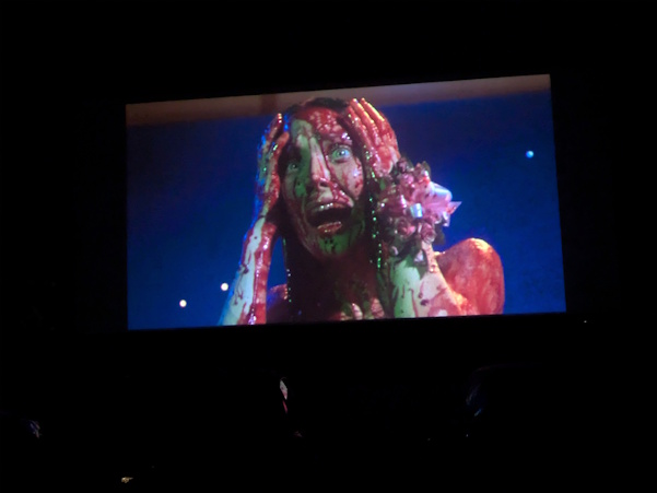 Carrie at the Skyline